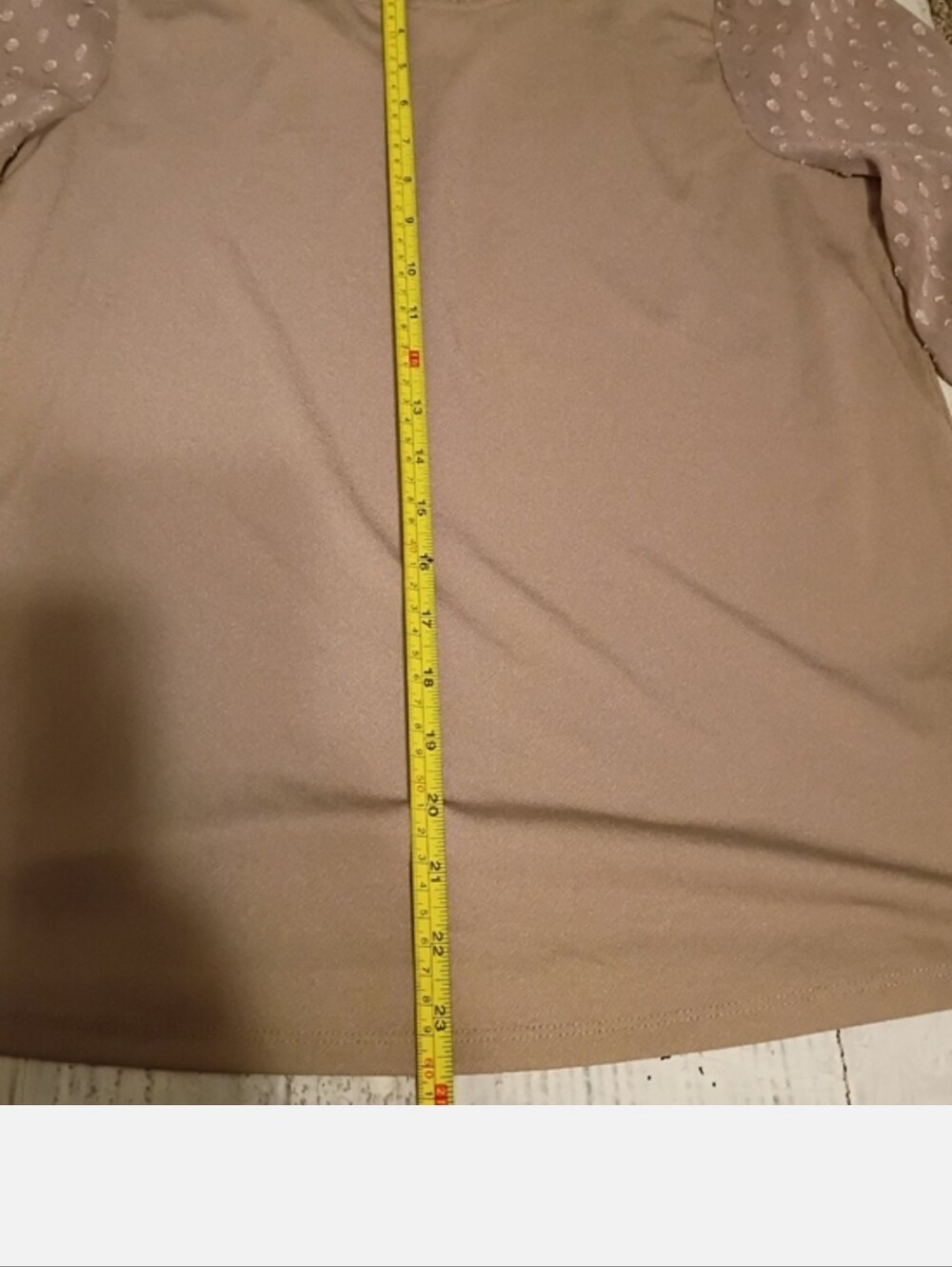 Adrianna Papell Tan Blouse with Sheer Sleeves - Picture 6 of 7